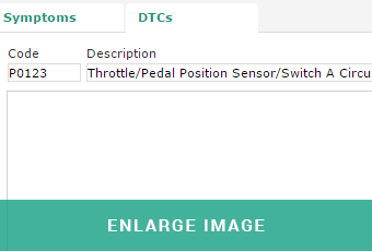 MAM Autowork Online features online database of DTCs
